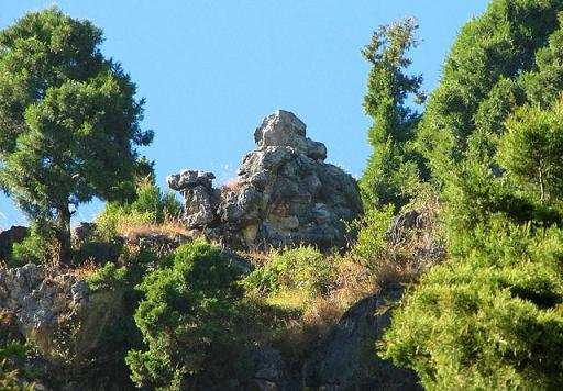 Best Time To Visit Camel Back Road Mussoorie Timing 