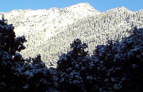 Nainital