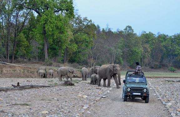 How to Reach Rajaji National Park Rishikesh by Bus, Train, Car, Flight / Air,