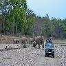 Rajaji National Park