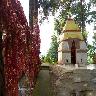 Kalika Temple