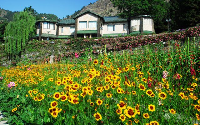 Shervani Hilltop Nainital