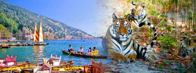  Book Trip to corbett nainital Tours Travel Packages Ho