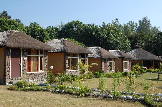 Jungle Paradise Retreat Corbett