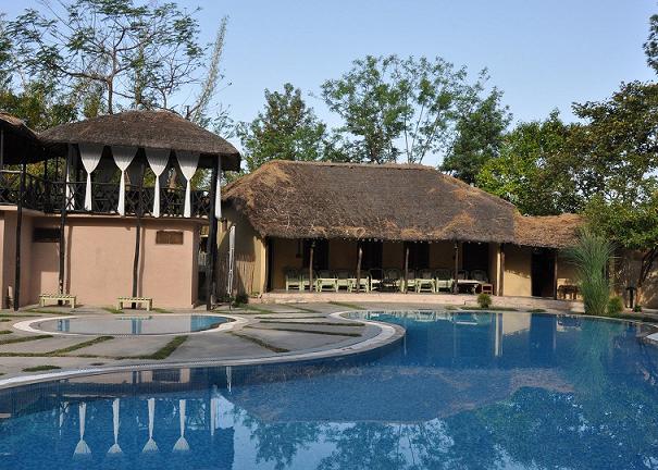 Jims Jungle Retreat Corbett