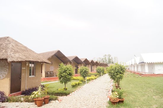 Jungle Eco Resort Corbett