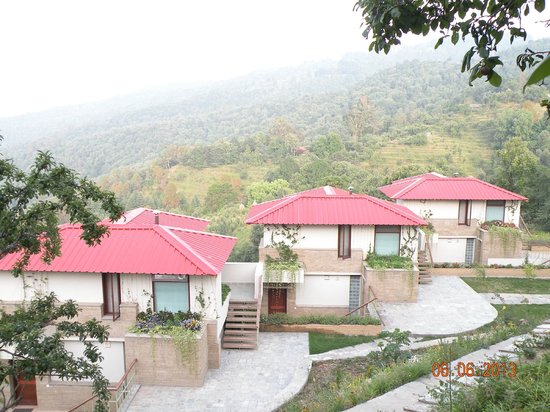 Sitla Estate Mukteshwar