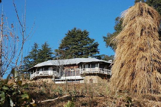 Abbott Mount Cottage Lohaghat