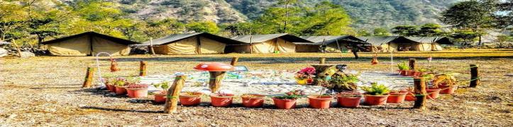 Camp Wild River Rishikesh