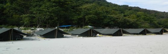 Camp Cross Fire Rishikesh