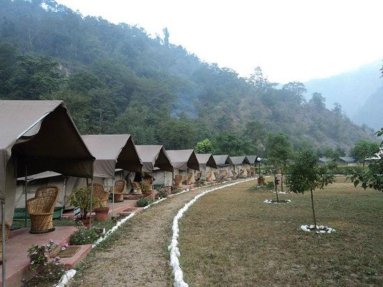 Himalayan Bear Stream Camp Rishikesh